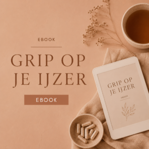 Grip op je ijzer - E.book